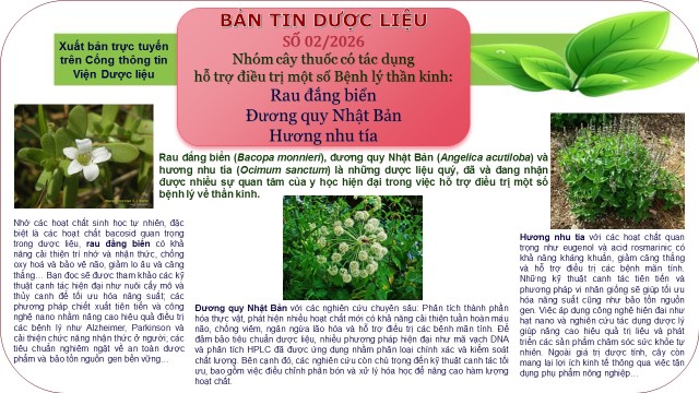 Không có ảnh